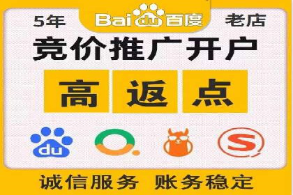 竞价推广代运营：成功案例解析